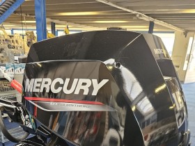 Mercury - F 15 MH