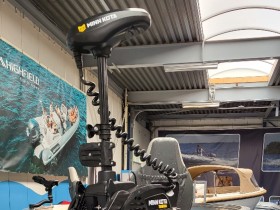 Qwest RF450 Fish